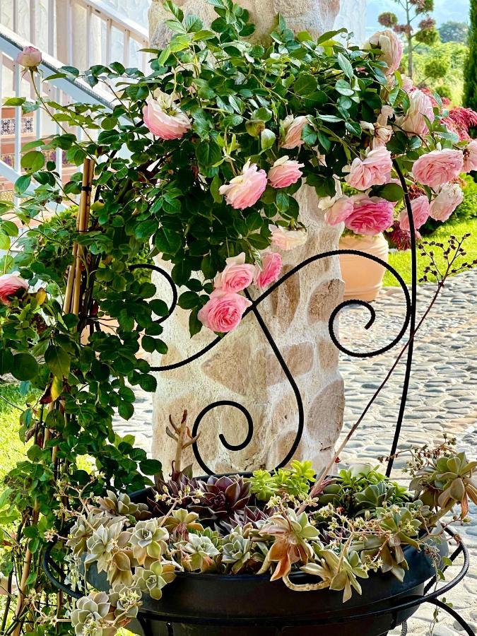 Casa De Oro Alma Aparthotel Sozopol