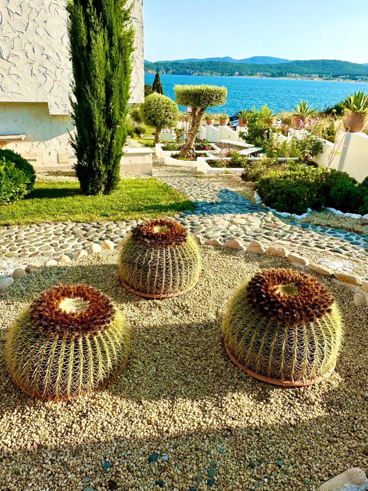 Aparthotel Casa De Oro Alma 3*