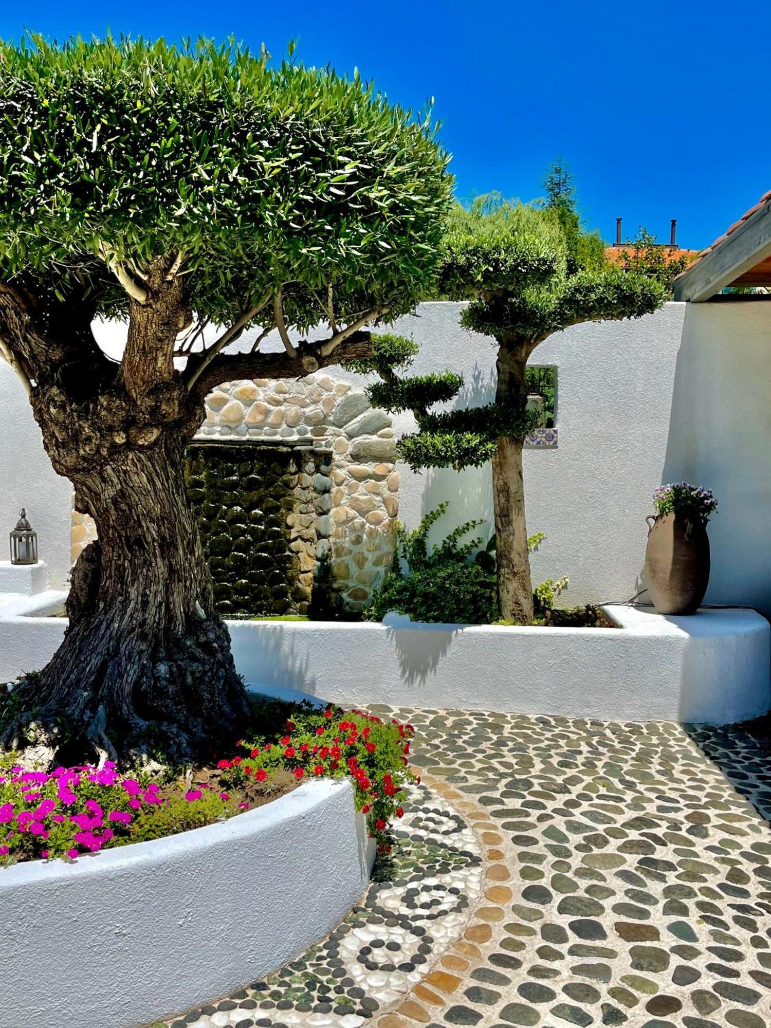 Апартхотел Casa De Oro Alma 3*