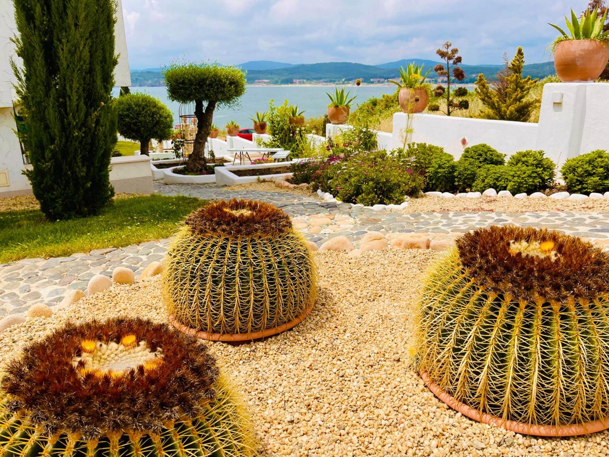 Апартхотел Casa De Oro Alma
